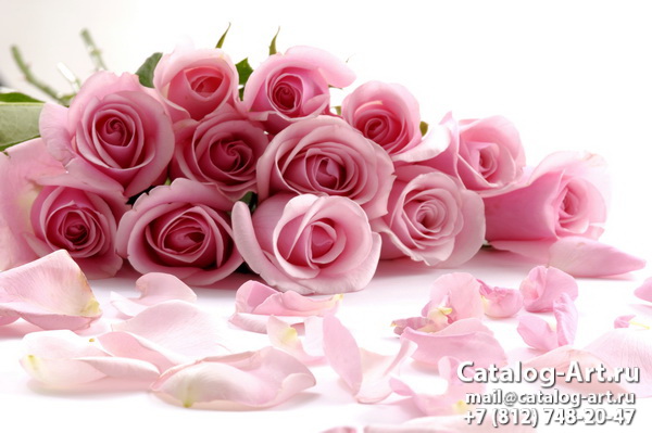 Pink roses 23